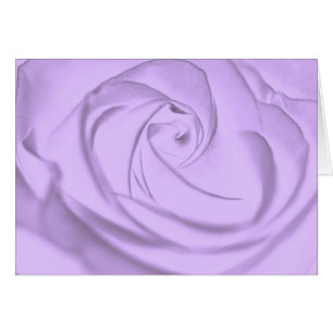 Rose-lavender.jpg