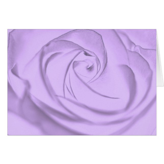 Rose-lavender.jpg (Vorderseite (Horizontal))