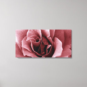 Rose Leinwanddruck
