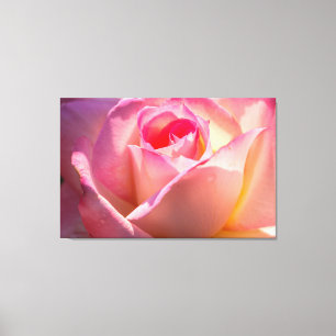 Rose Leinwanddruck