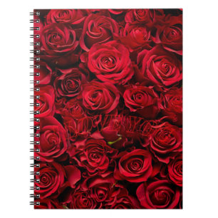 Rose Liebe Notizblock