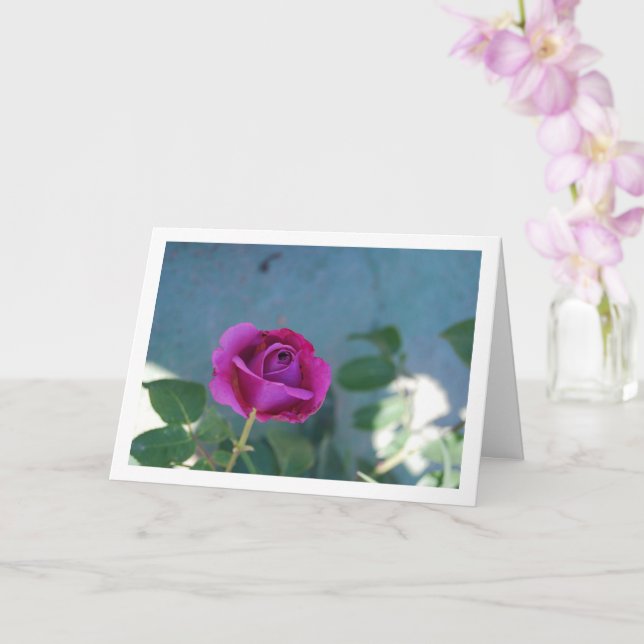Rose lila Blumengarten Karte (Orchidee)