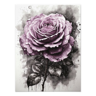 ROSE - LILA FOTODRUCK