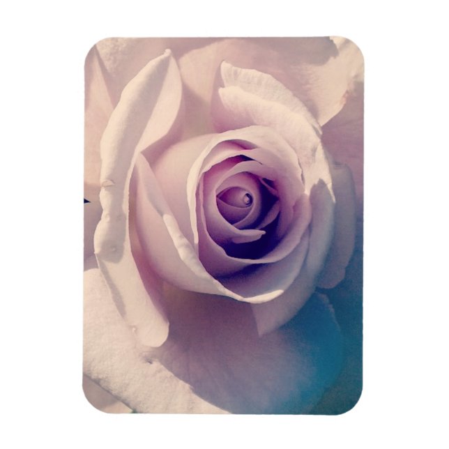 Rose Magnet (Vertikal)