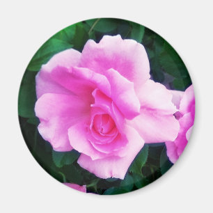 ROSE MAGNET