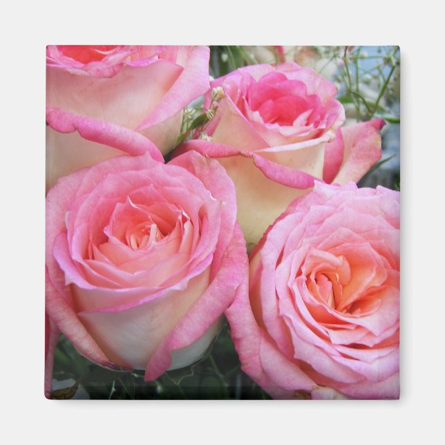 Rose Magnet (Vorne)