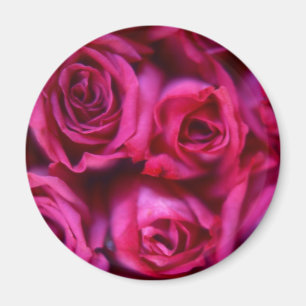 Rose Magnet