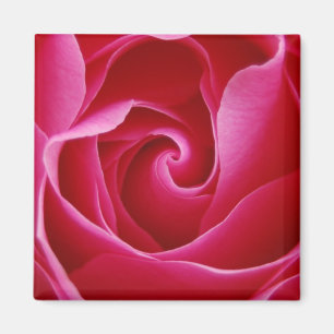 Rose Magnet