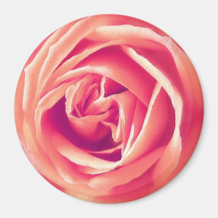 Rose Magnet