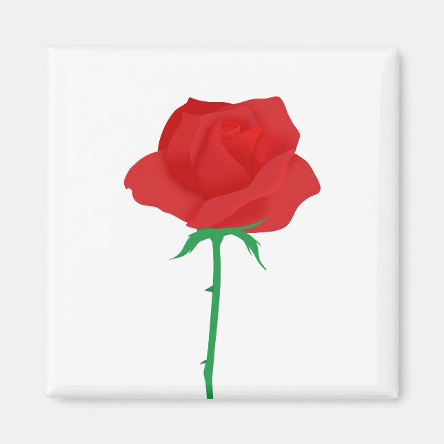 Rose Magnet (Vorne)