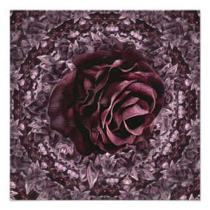 Rose Mandala Fotodruck