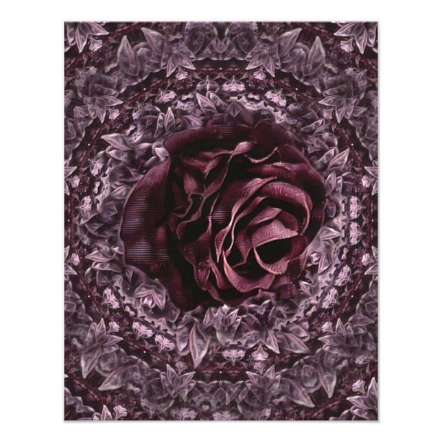 Rose Mandala Fotodruck (Vorne)