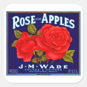 Rose Marken Äpfel Quadratischer Aufkleber