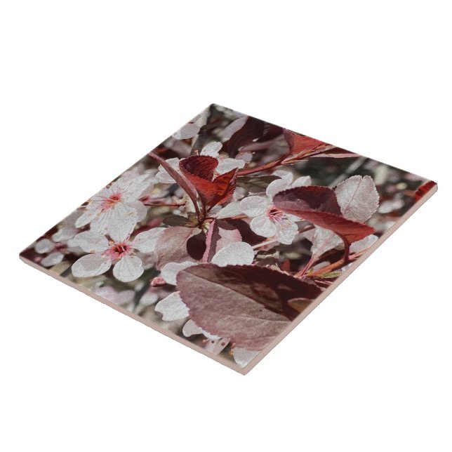 Rose Maroon Flora Keramik Tile Fliese (Seite)