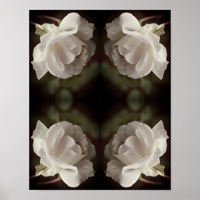 Rose mit Abstrakten Vintagen Raindrops Poster (Vorne)