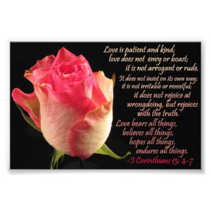 Rose mit I Cor. 13: 4-7 Fotodruck
