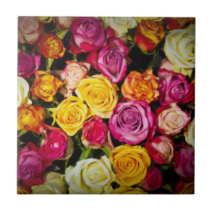 Rose Mix Fliese