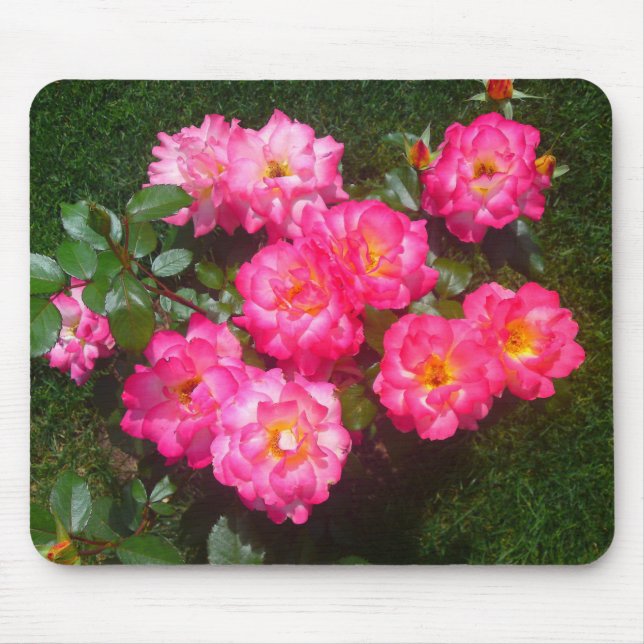 Rose Mousepad (Vorne)
