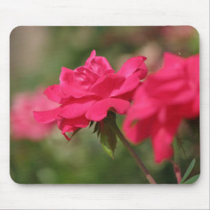 Rose Mousepad
