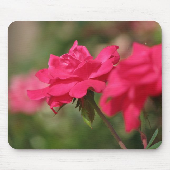 Rose Mousepad (Vorne)