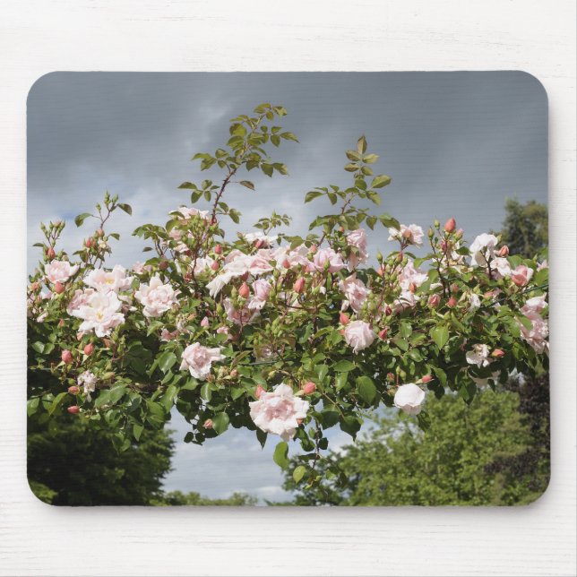 Rose Mousepad (Vorne)