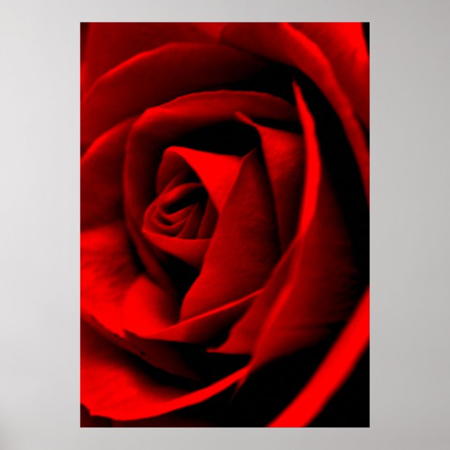 Rose Nah Poster (Vorne)