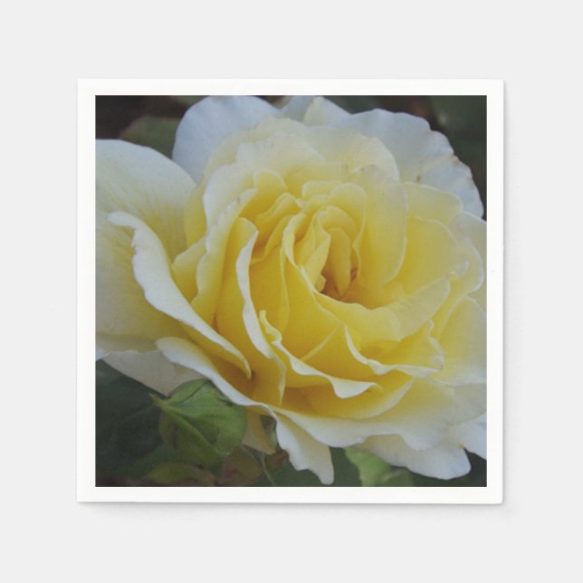Rose Napkins, weiß und gelb Serviette (Vorderseite)