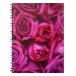 Rose-Notebook Notizblock