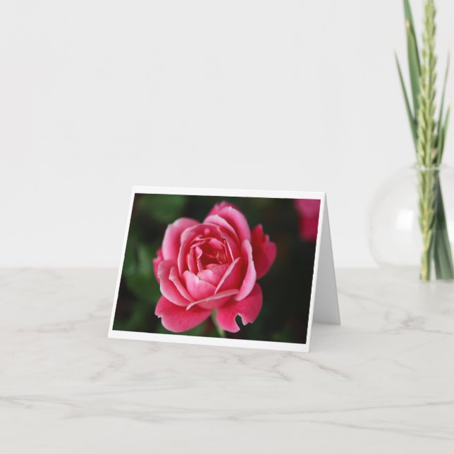 Rose Notecard Karte (Vorderseite)