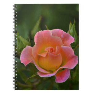 Rose Notizblock