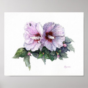 Rose of Sharon Fine Art Poster