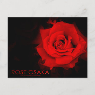 Rose Osaka: Postkarte