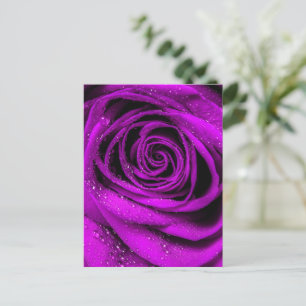 Rose Petals 2 Postkarte