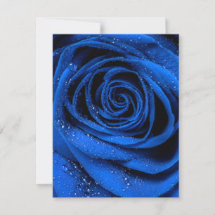 Rose Petals 3 Mitteilungskarte