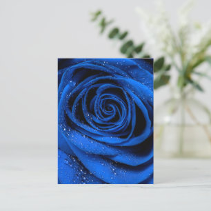 Rose Petals 3 Postkarte