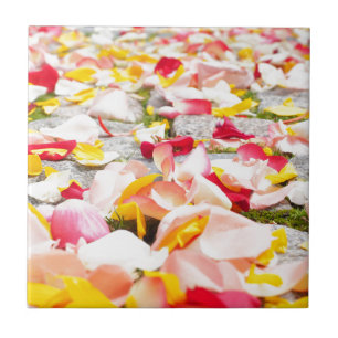 Rose Petals auf Fußböden Fliese