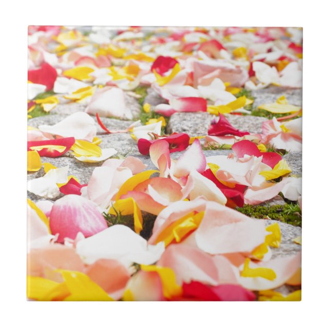 Rose Petals auf Fußböden Fliese (Vorderseite)