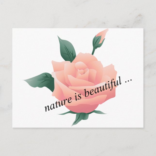 Rose (Pfirsich) - Schöne Natur Postkarte (Vorderseite)