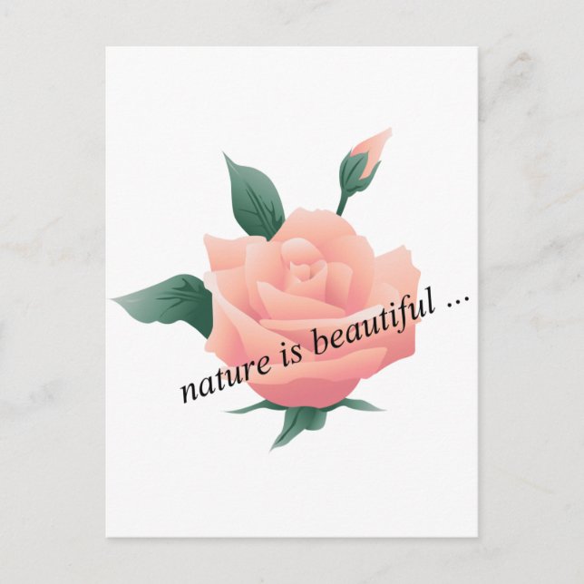 Rose (Pfirsich) - Schöne Natur Postkarte (Vorderseite)