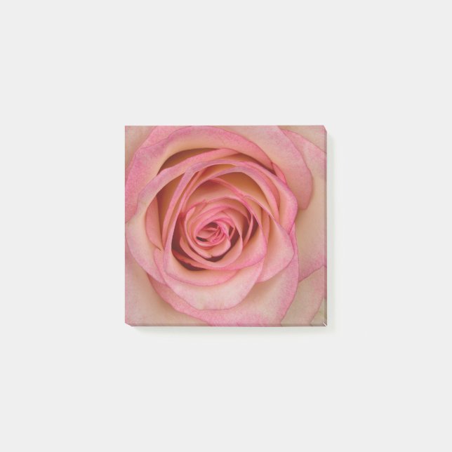 Rose Pink Blume Post-it Klebezettel (Vorderseite)