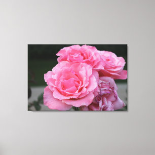 Rose Portrait Stretched Canvas Print Leinwanddruck