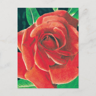 Rose Postcard von Jacob Grimm Postkarte