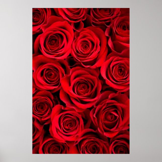 Rose Poster (Vorne)