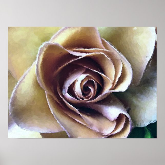 ROSE POSTER (Vorne)