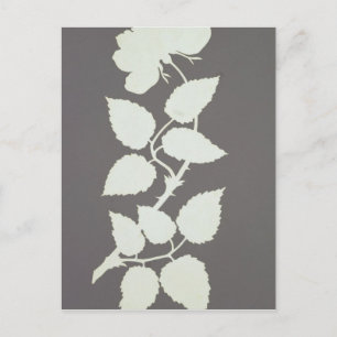 Rose Postkarte