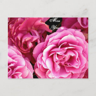 ROSE_ POSTKARTE