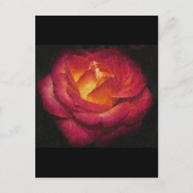 Rose Postkarte (Vorderseite)