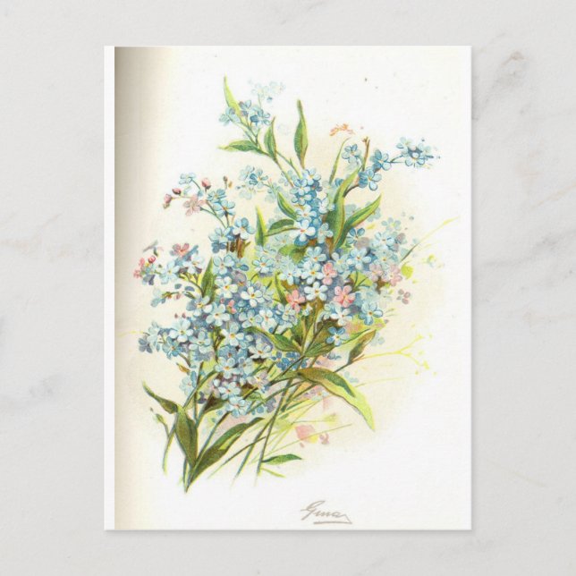 Rose Postkarte (Vorderseite)