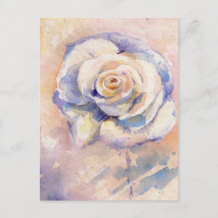 Rose Postkarte