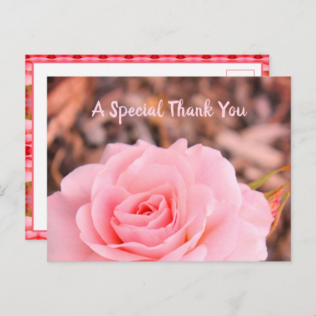 Rose Postkarte (Vorne/Hinten)